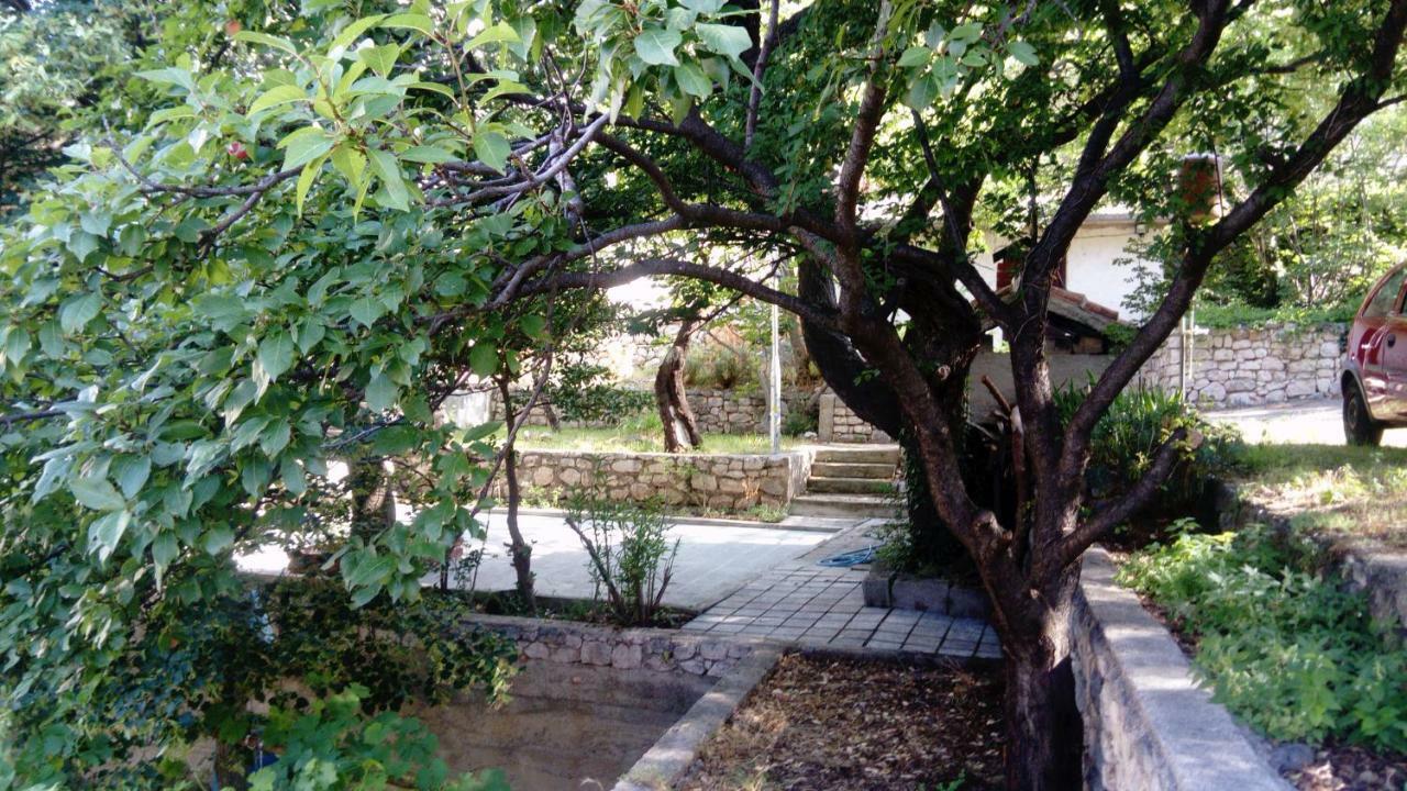 Apartman "Tartaruga" Lukovo Extérieur photo